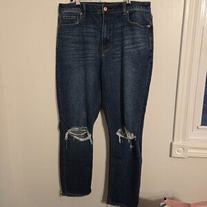 American Eagle Mom Jeans Size 14Long